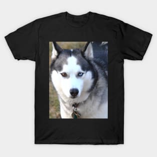 Husky love T-Shirt